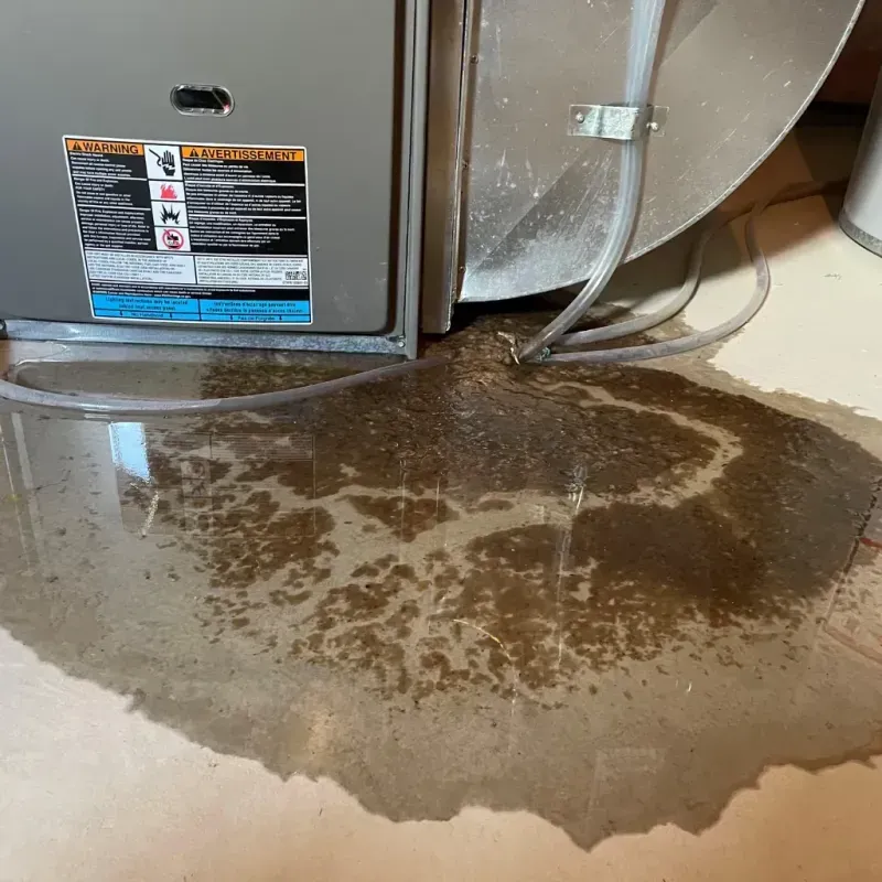 Appliance Leak Cleanup in Murphy, ID